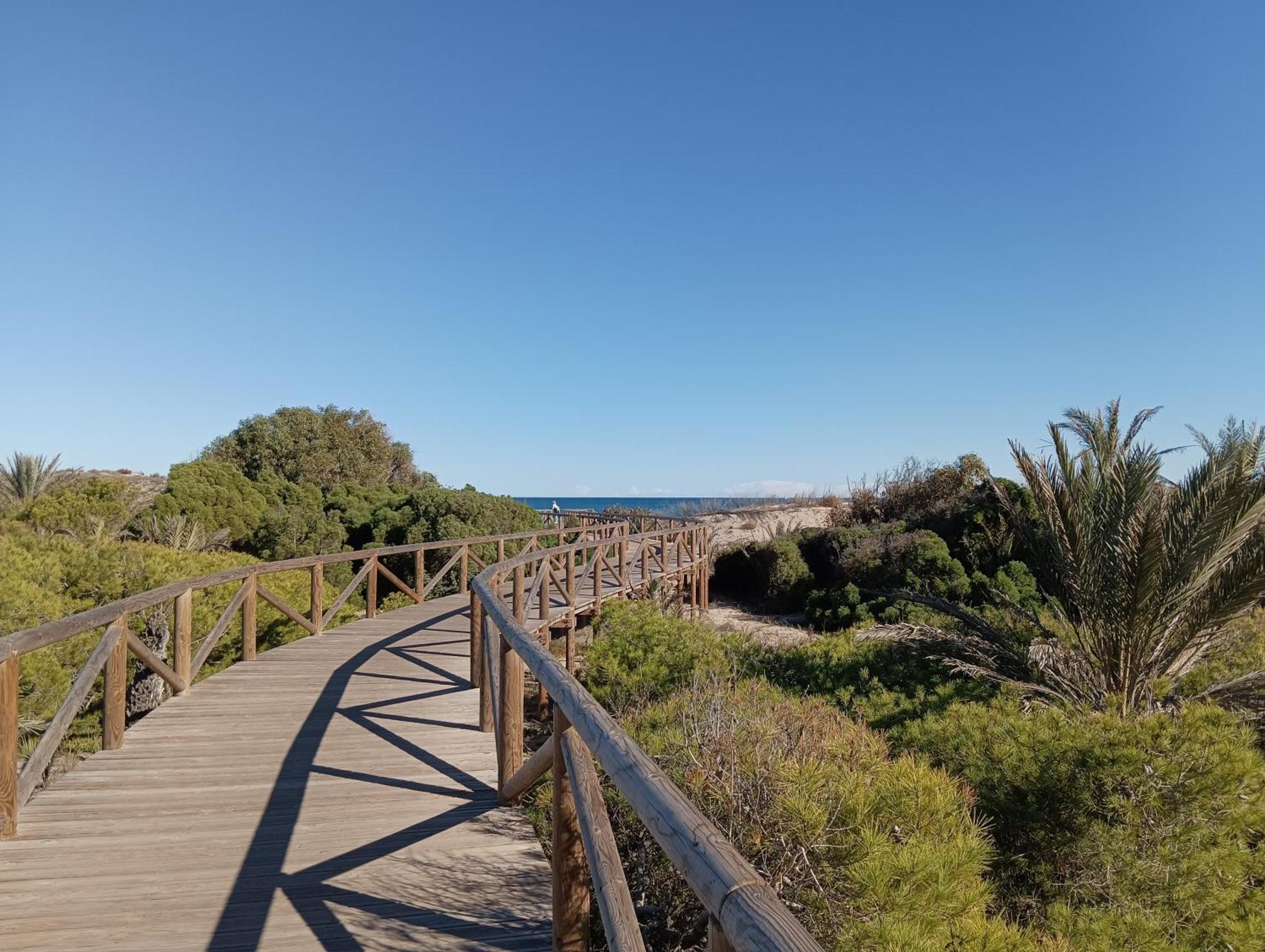 Bonito Apartamento 150 M De La Playa La Mata La Mata  Eksteriør billede