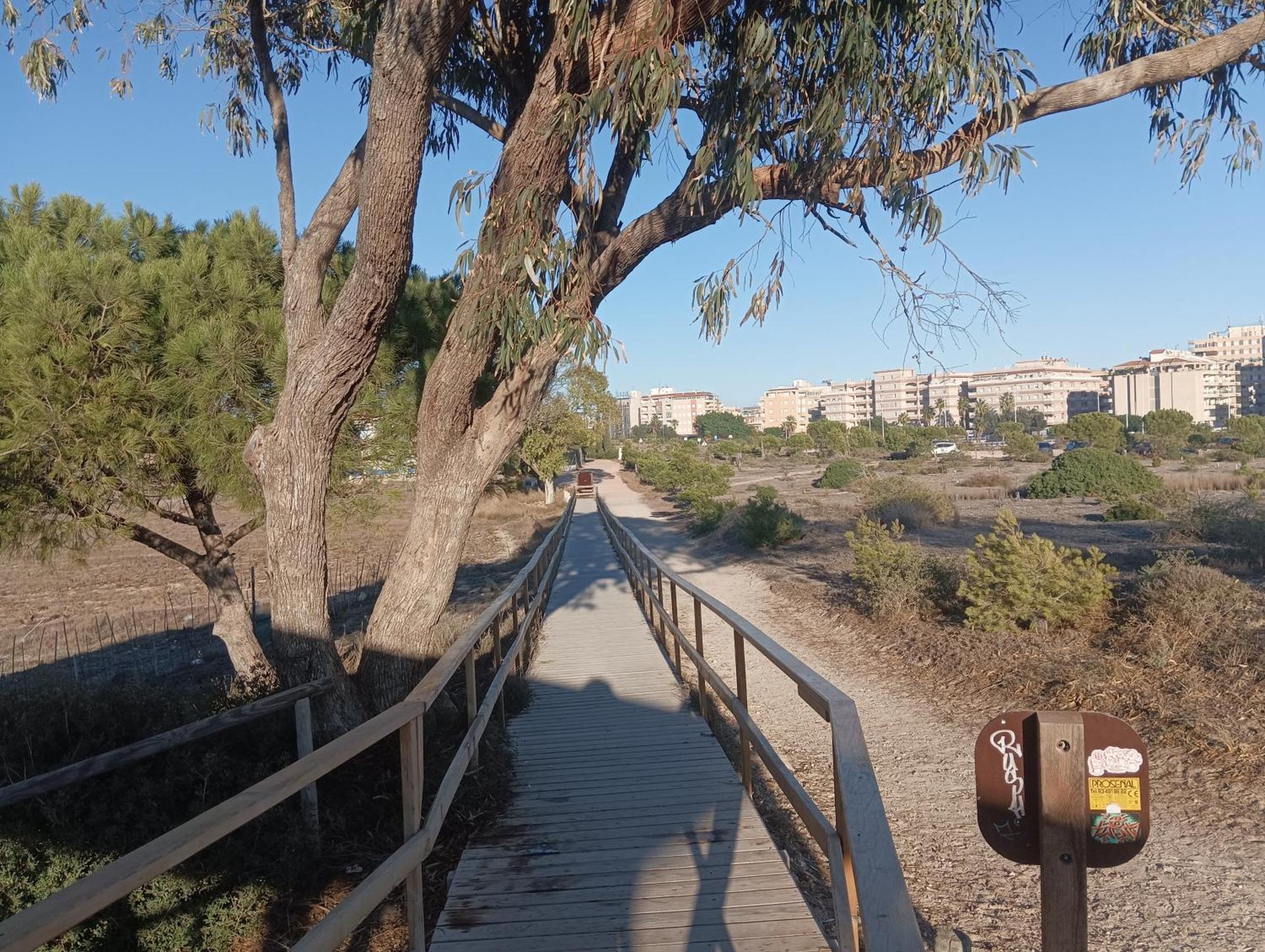 Bonito Apartamento 150 M De La Playa La Mata La Mata  Eksteriør billede
