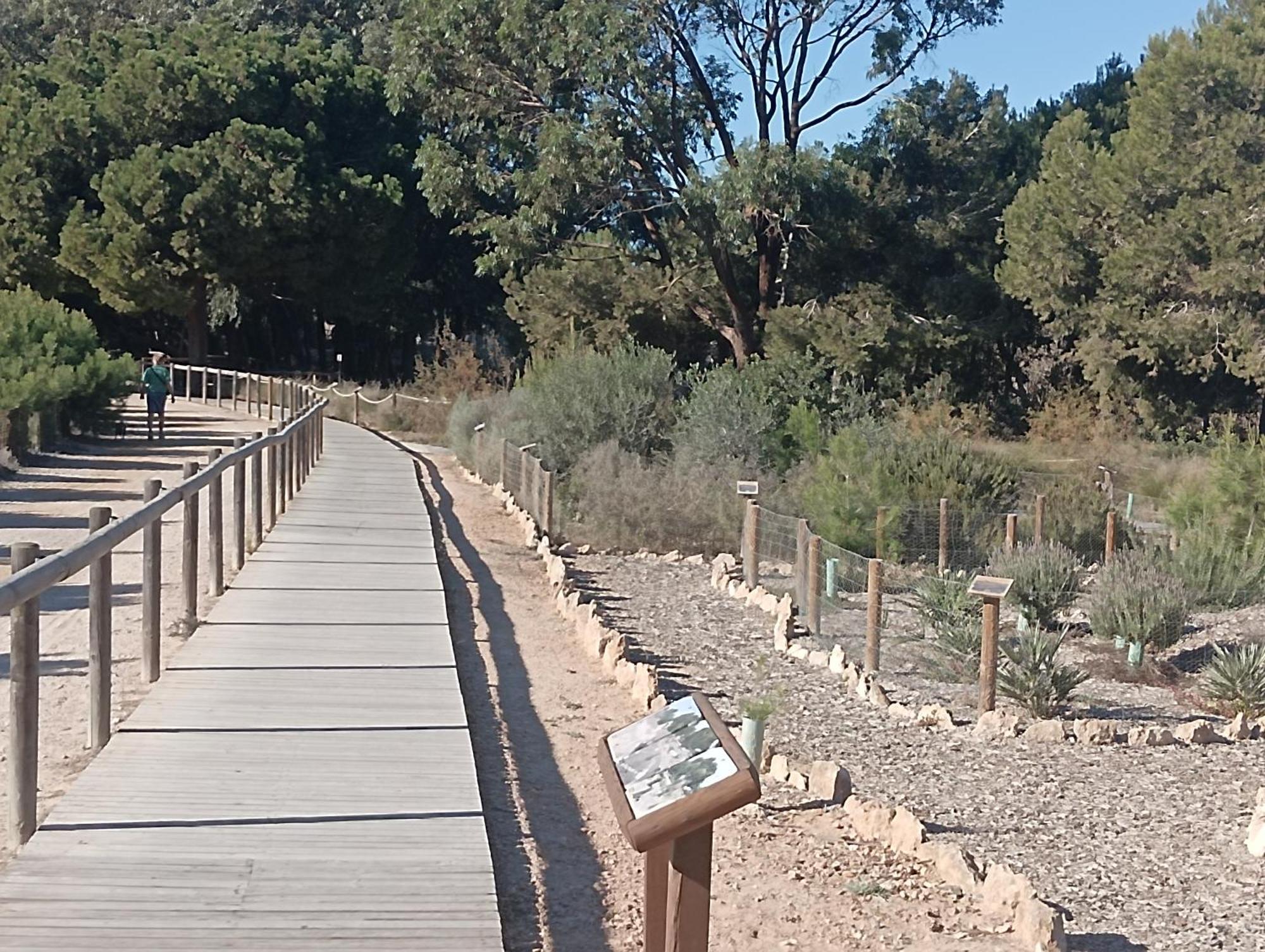 Bonito Apartamento 150 M De La Playa La Mata La Mata  Eksteriør billede