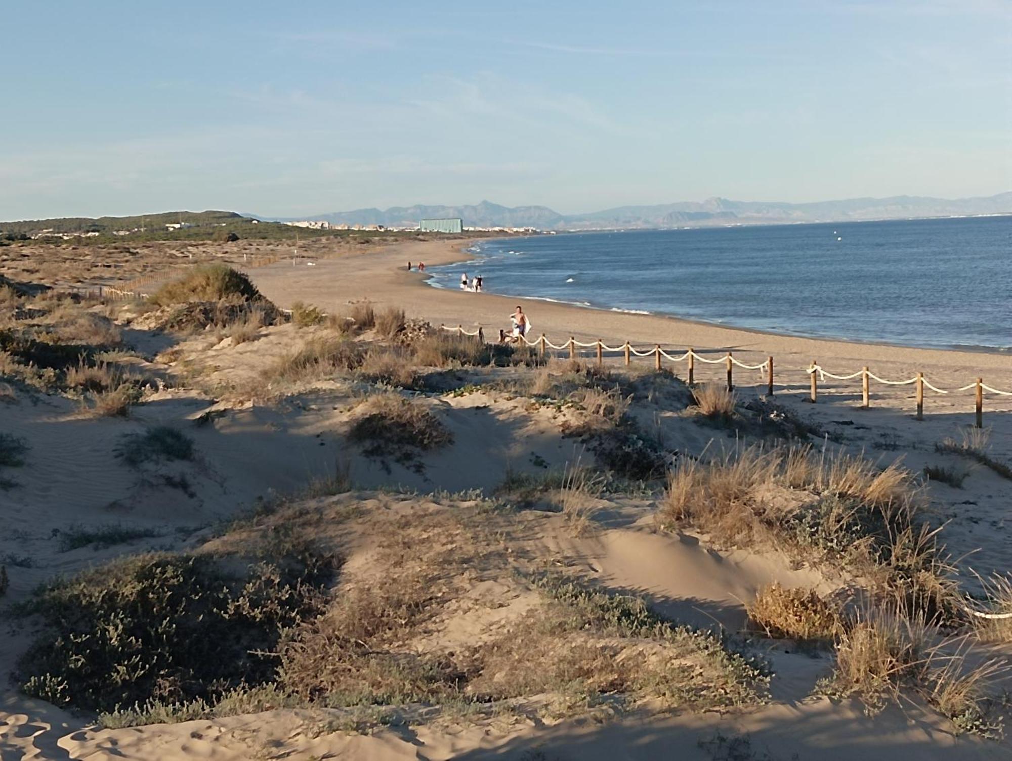 Bonito Apartamento 150 M De La Playa La Mata La Mata  Eksteriør billede