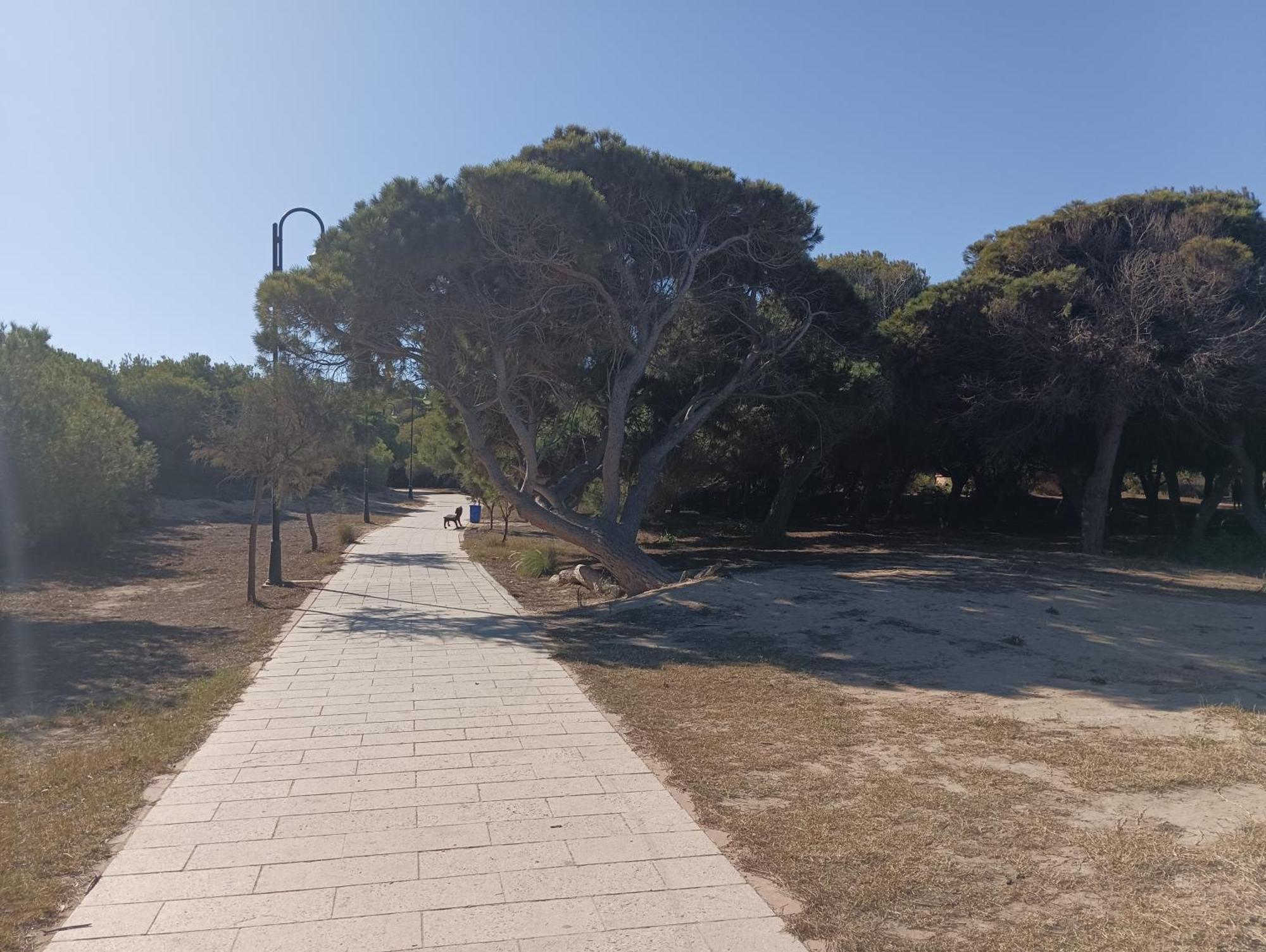 Bonito Apartamento 150 M De La Playa La Mata La Mata  Eksteriør billede