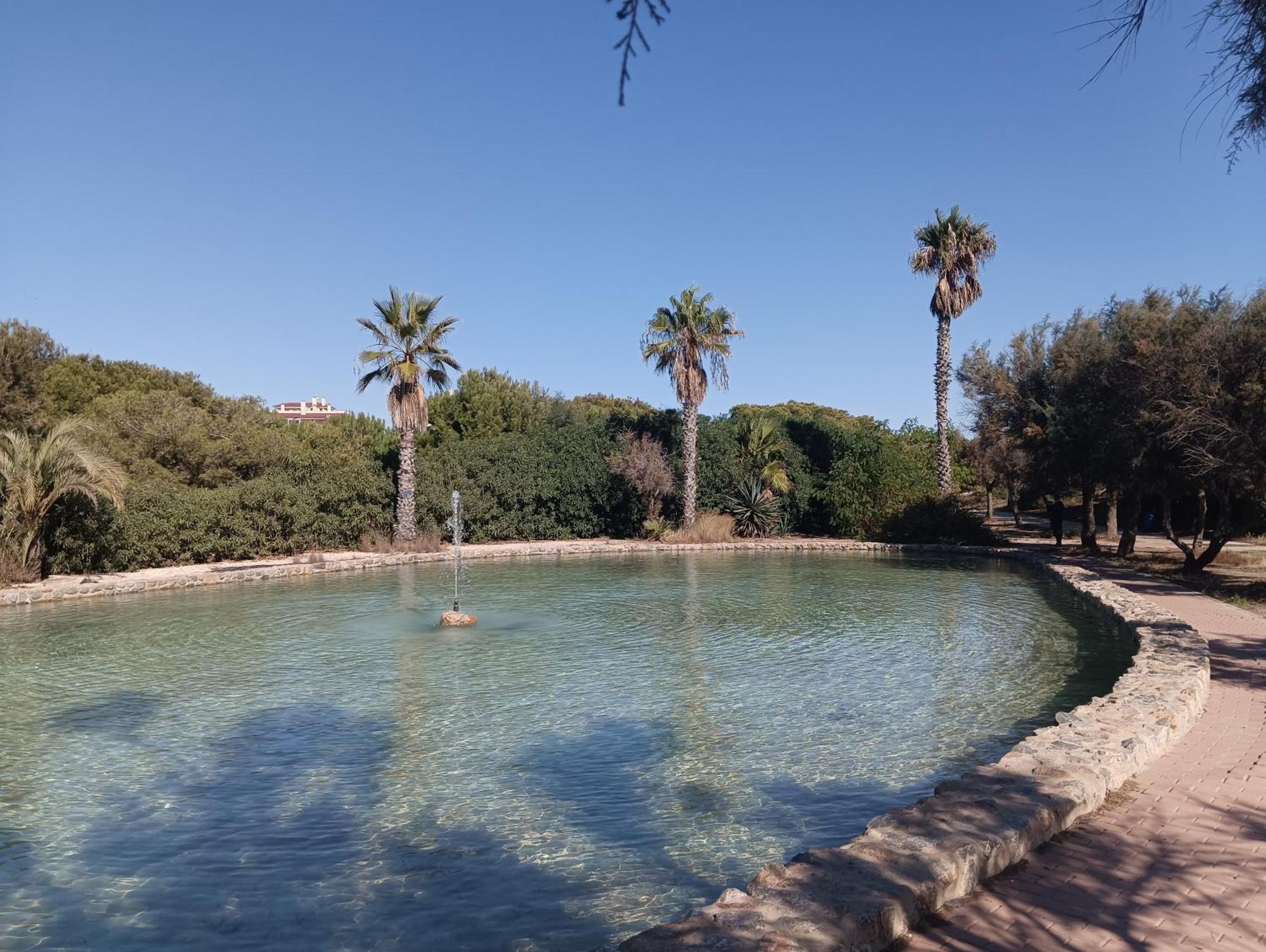 Bonito Apartamento 150 M De La Playa La Mata La Mata  Eksteriør billede