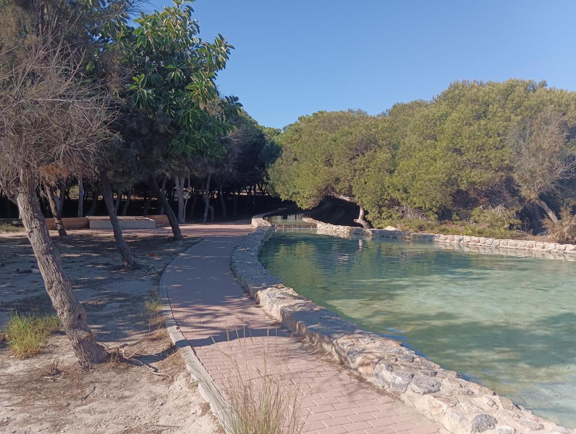 Bonito Apartamento 150 M De La Playa La Mata La Mata  Eksteriør billede