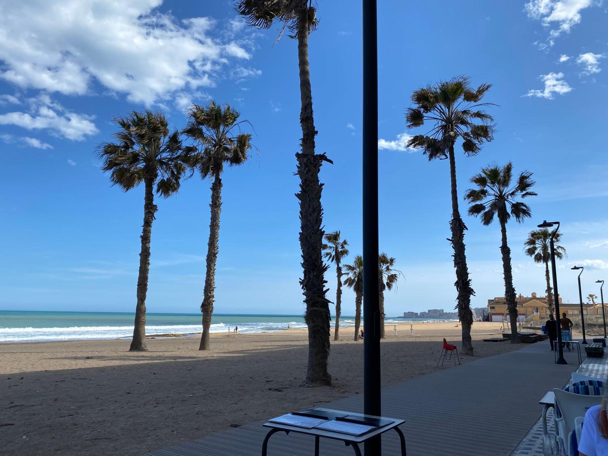 Bonito Apartamento 150 M De La Playa La Mata La Mata  Eksteriør billede